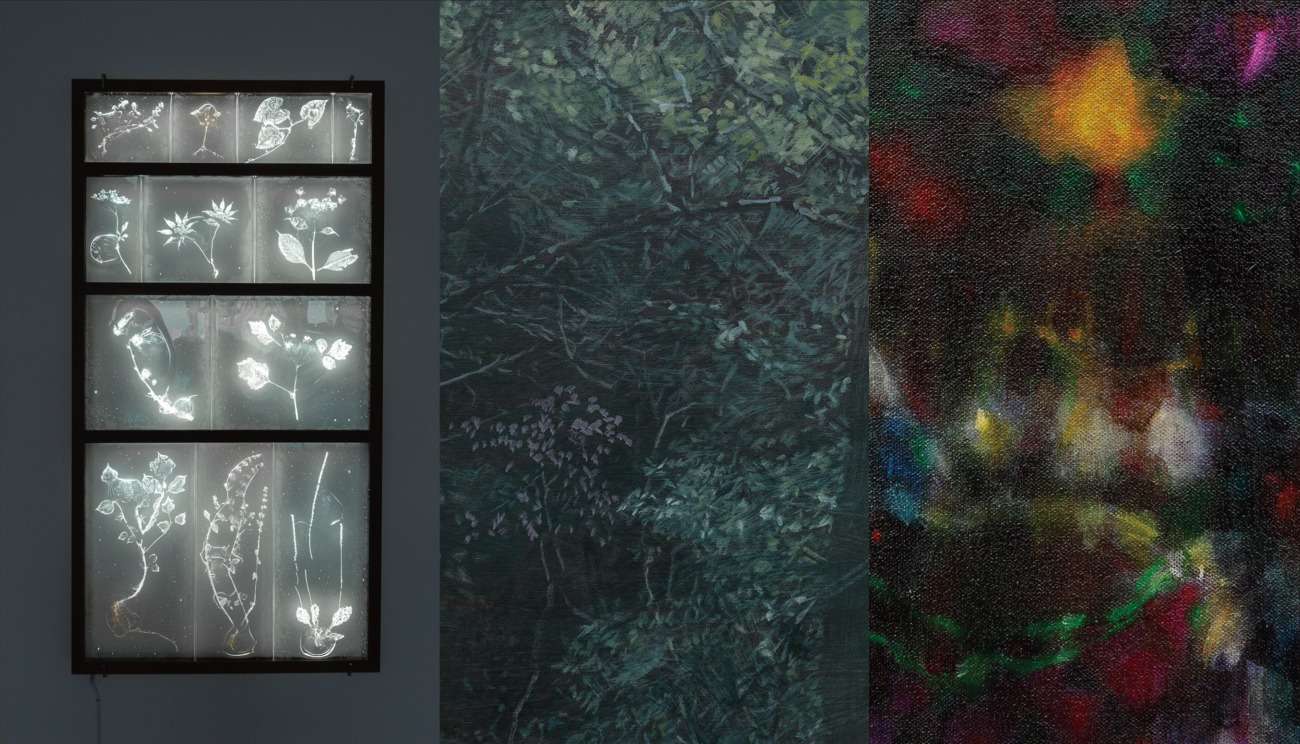 Winter Show | Yasue Kodama, Rui Sasaki, Yasuyoshi Botan and more